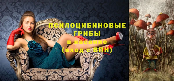 ГАЛЛЮЦИНОГЕННЫЕ ГРИБЫ Алзамай