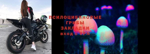 амфетамин Алексеевка