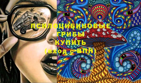 ГАЛЛЮЦИНОГЕННЫЕ ГРИБЫ Алзамай