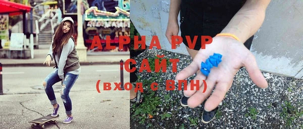 СК Алексин