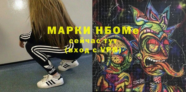 СК Алексин