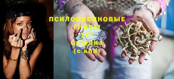 ГАЛЛЮЦИНОГЕННЫЕ ГРИБЫ Алзамай