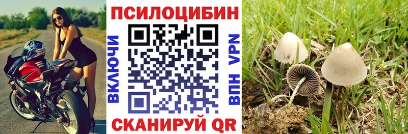купить цена Евпатория ОМГ ОМГ маркетплейс Галлюциногенные грибы Cubensis